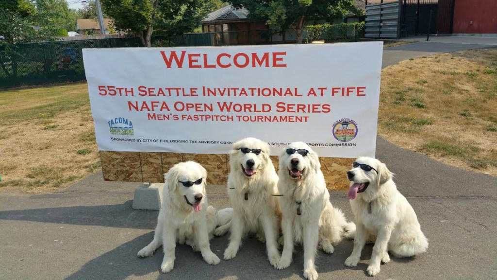 Seattle Invite Welcoming Committee at Dacca Park for the NAFA Open World Series